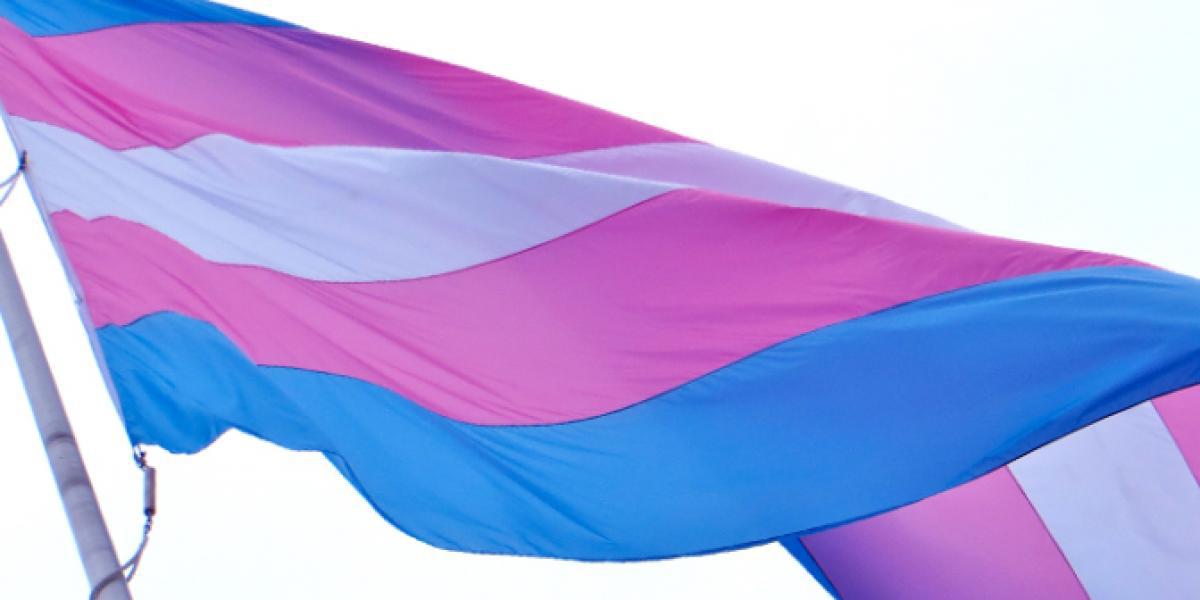 Bandera TRANS